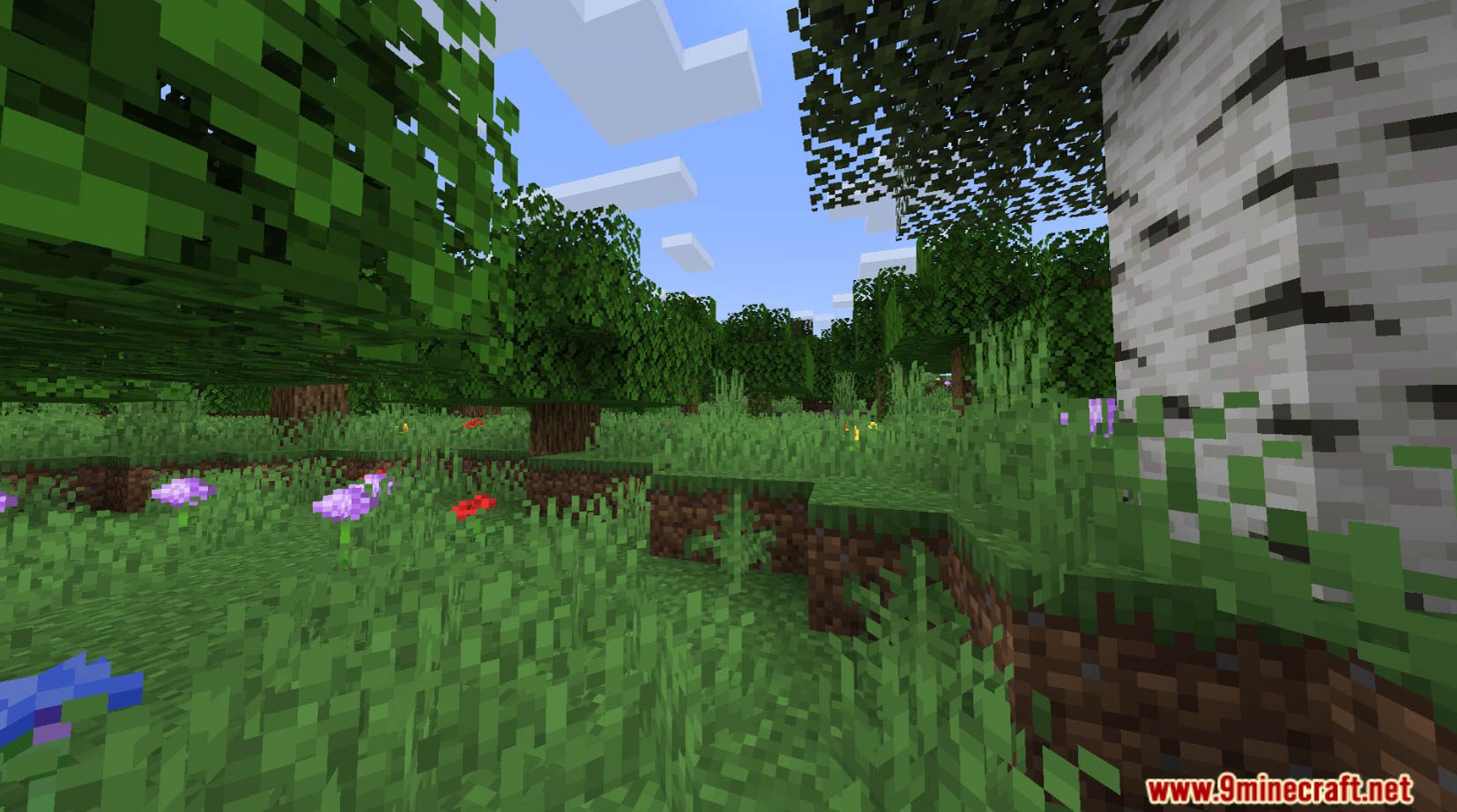 Regrown Data Pack (1.20.4, 1.19.4) - Minecraft's Nature Reimagined! 2