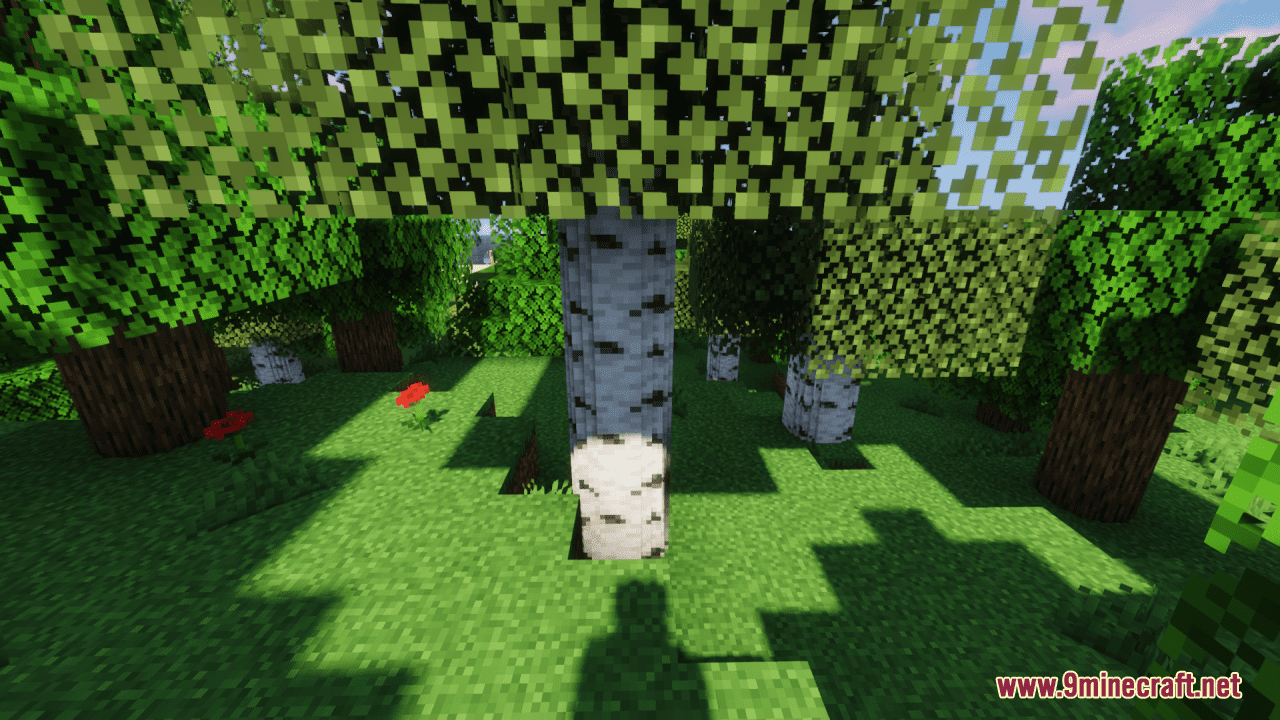 Round Trees Resource Pack (1.20.6, 1.20.1) - Texture Pack 13