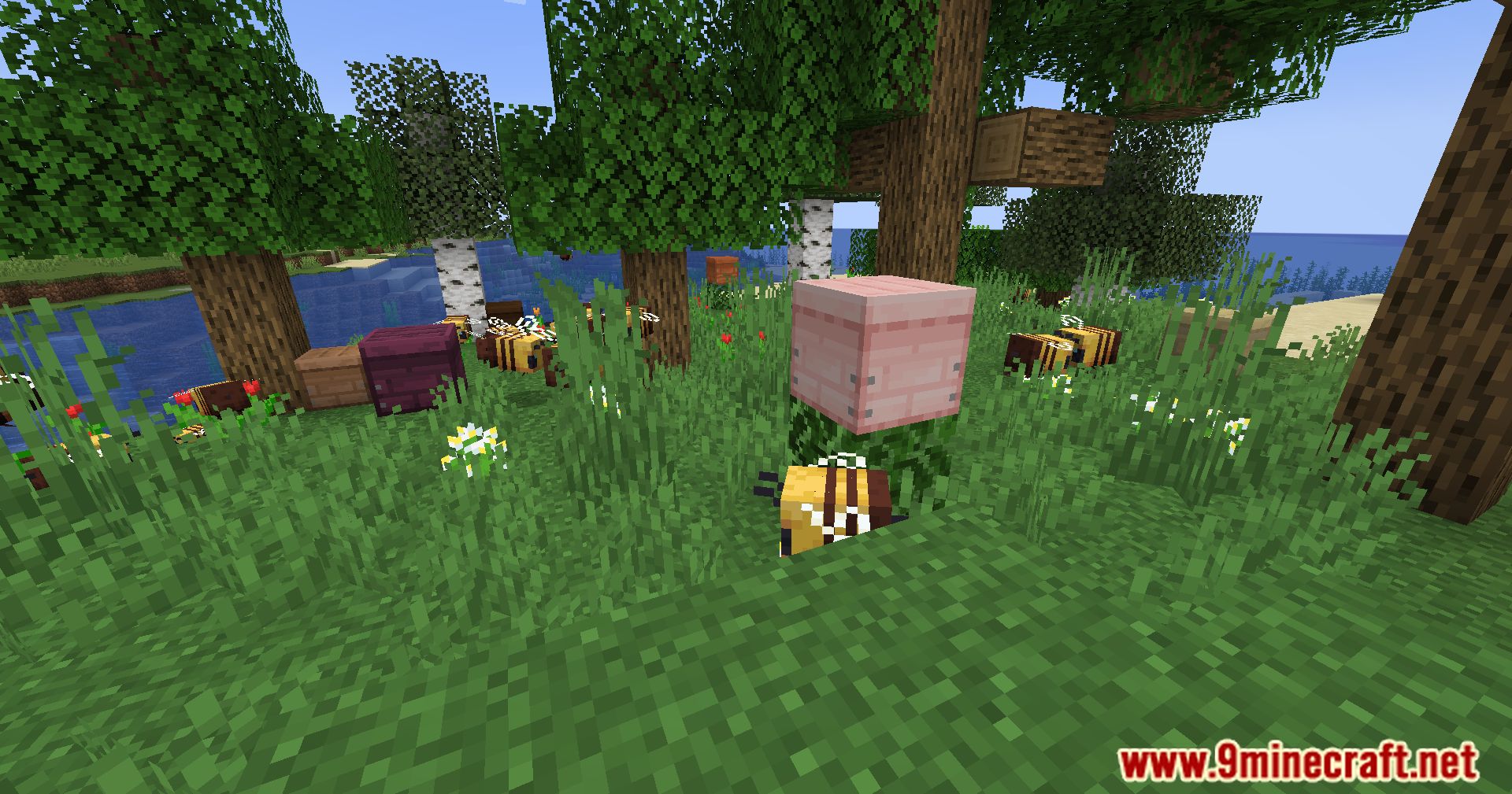 Variant Beehives Mod (1.20.4, 1.20.1) - A Symphony Of Wood And Buzz 6