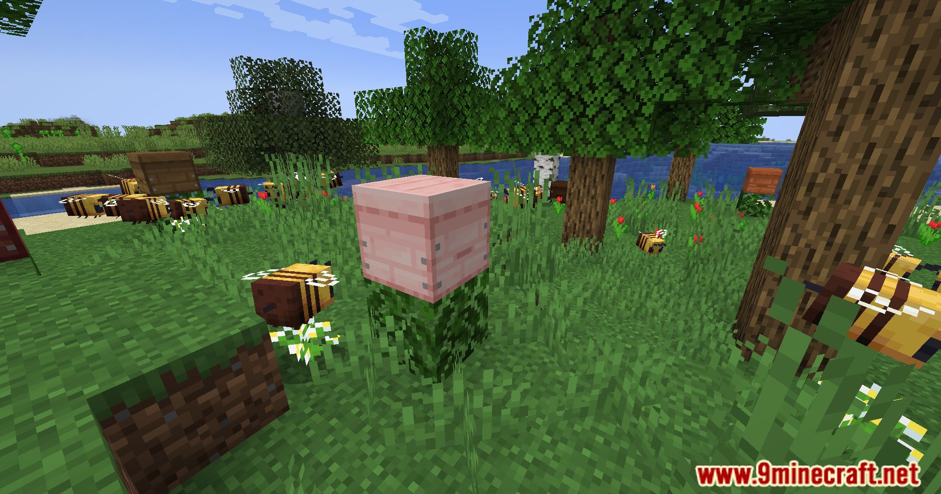 Variant Beehives Mod (1.20.4, 1.20.1) - A Symphony Of Wood And Buzz 7
