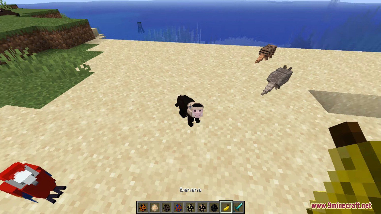 Animal Planet Mod (1.14.4, 1.12.2) - Tameable Animals 11