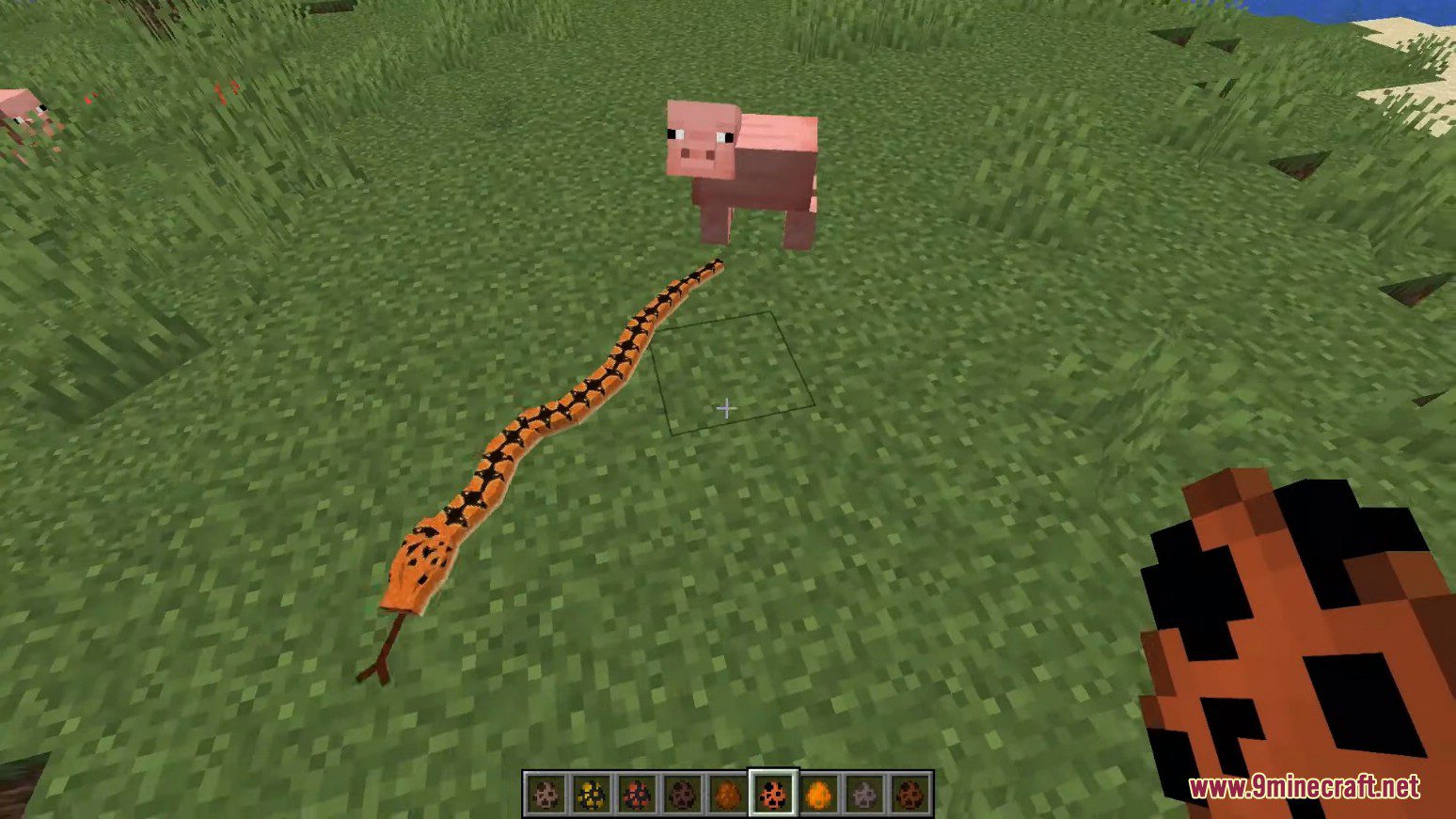 Animal Planet Mod (1.14.4, 1.12.2) - Tameable Animals 3