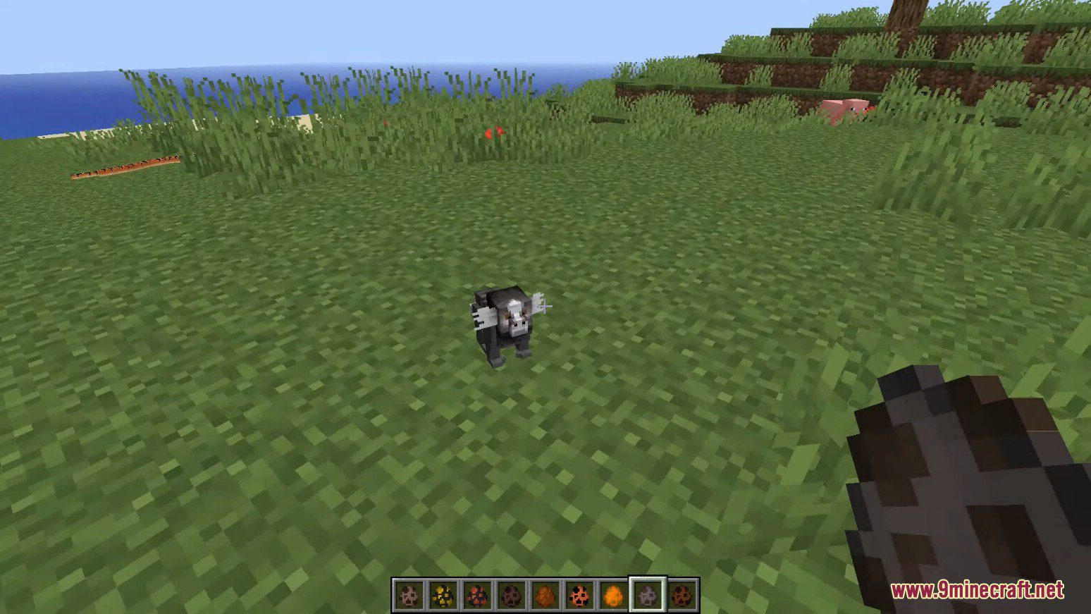 Animal Planet Mod (1.14.4, 1.12.2) - Tameable Animals 4