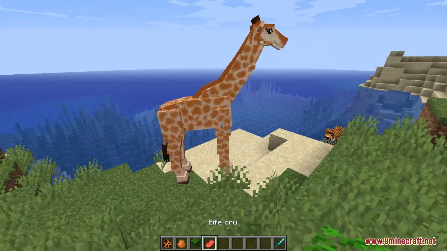 Animal Planet Mod (1.14.4, 1.12.2) - Tameable Animals 9