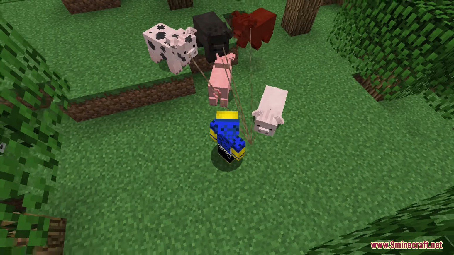 Animania Base Mod (1.12.2) - Immersive Animals 11