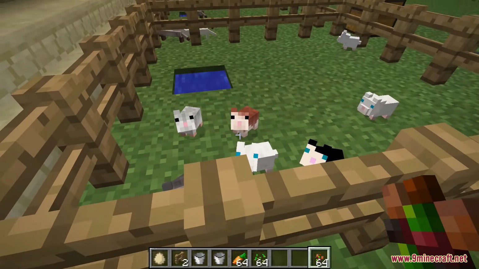 Animania Base Mod (1.12.2) - Immersive Animals 12