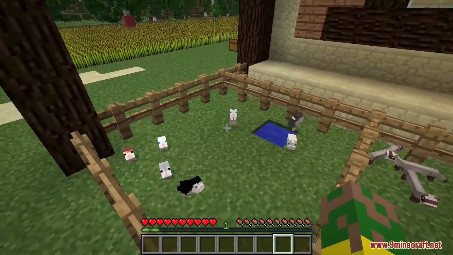 Animania Base Mod (1.12.2) - Immersive Animals 7