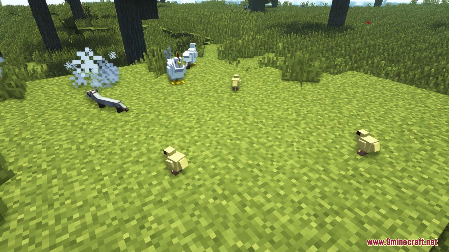 Animania Extra Animals Mod (1.12.2) - Hamsters, Peafowl, Ferrets 7