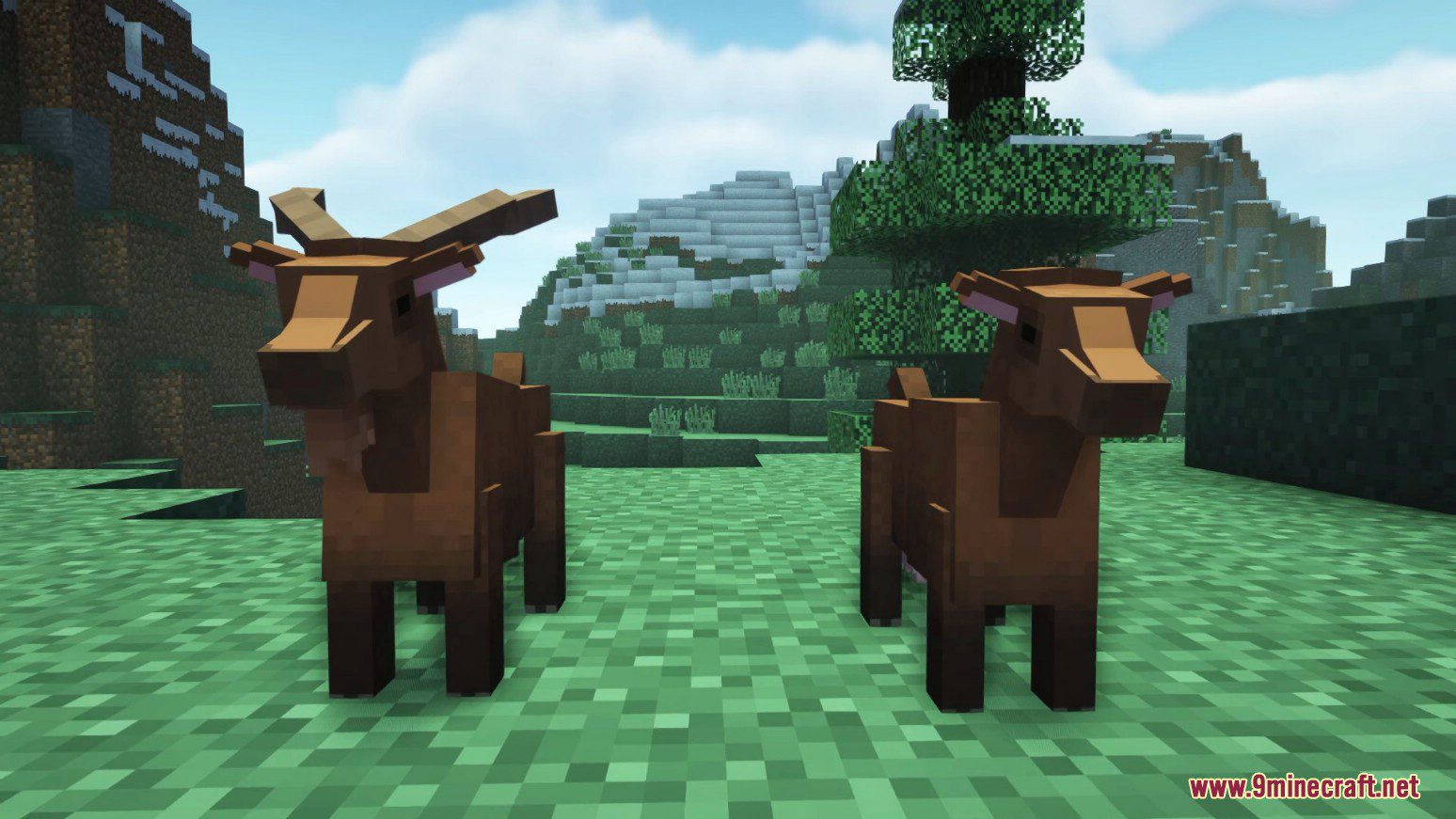 Animania Farm Mod (1.12.2) - Better Animal Models 15