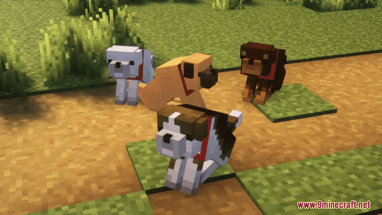 Better Animals Resource Pack (1.20.6, 1.20.1) - Texture Pack 7