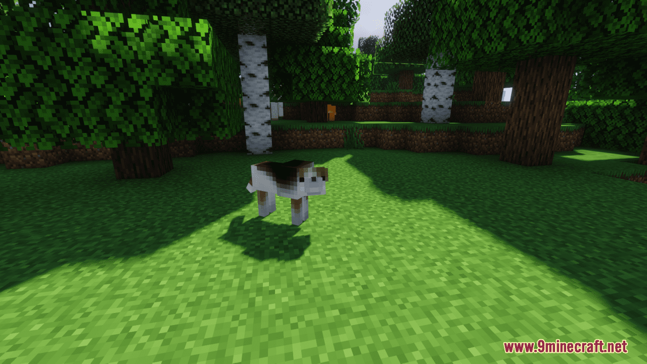 Better Animals Resource Pack (1.20.6, 1.20.1) - Texture Pack 18