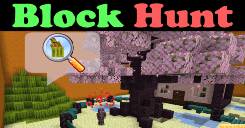 Block Hunt Map (1.20) – MCPE/Bedrock Hide and Seek Minigame Thumbnail