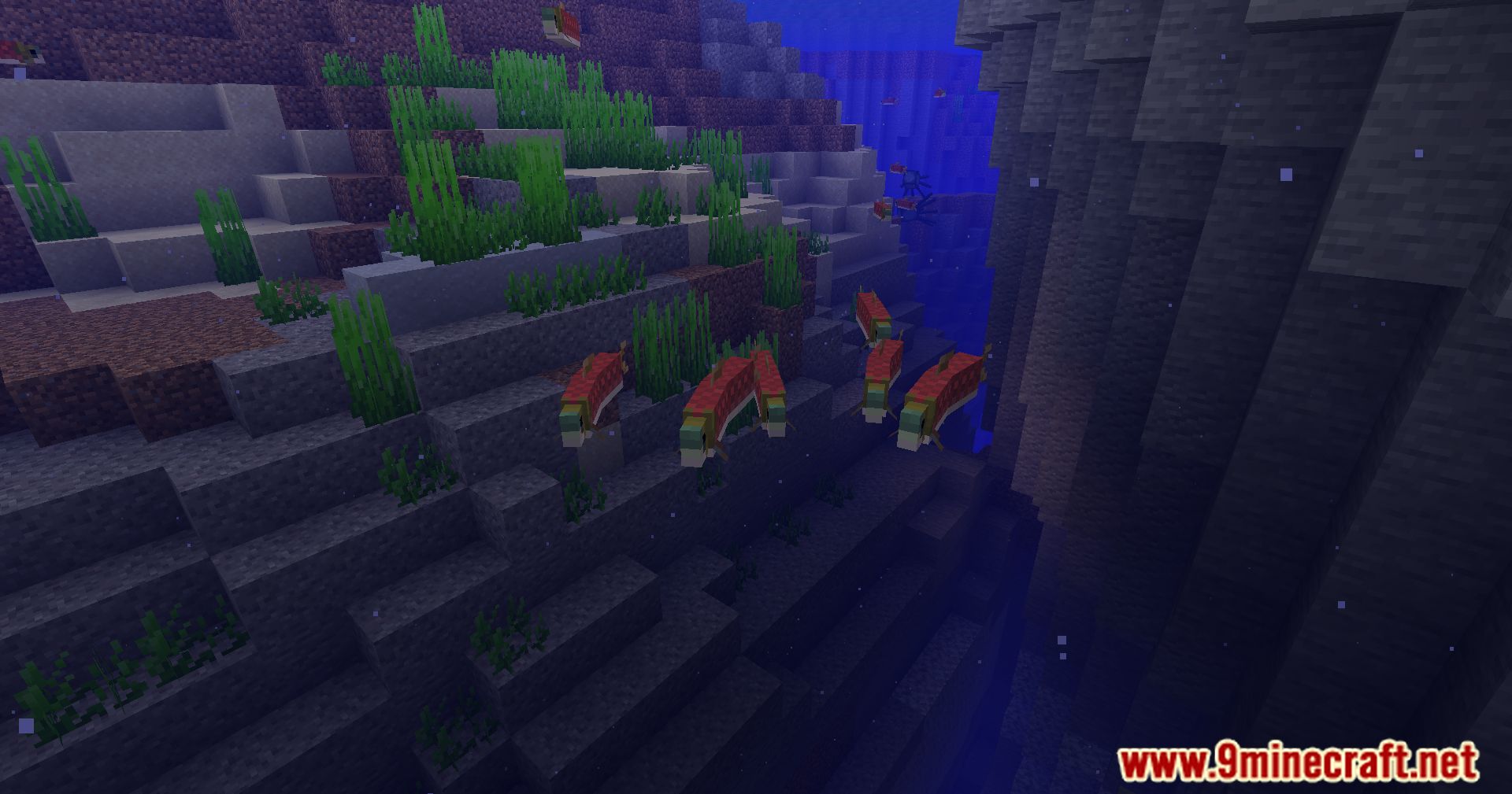 Let Fish Love Mod (1.20.1, 1.19.2) - Aquatic Ecology Evolved, Experience Fish Breeding 13