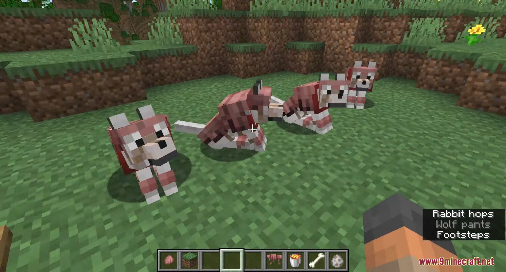 Minecraft 1.21, 1.20.5 Snapshot 24w09a - Dyeable Wolf Armor 4