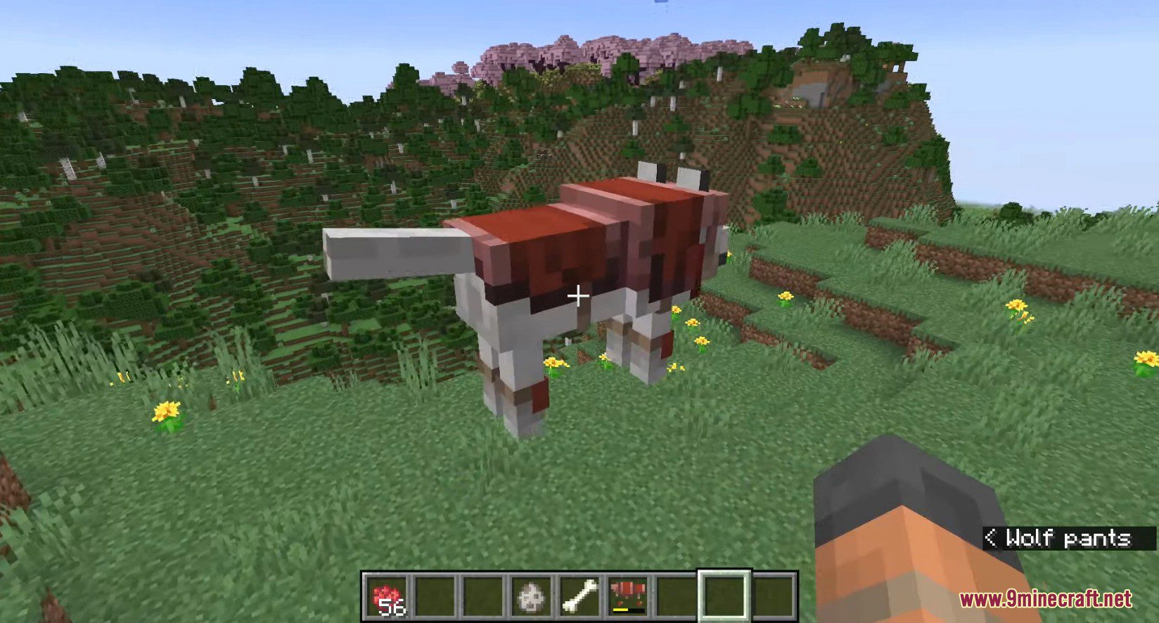 Minecraft 1.21, 1.20.5 Snapshot 24w09a - Dyeable Wolf Armor 10