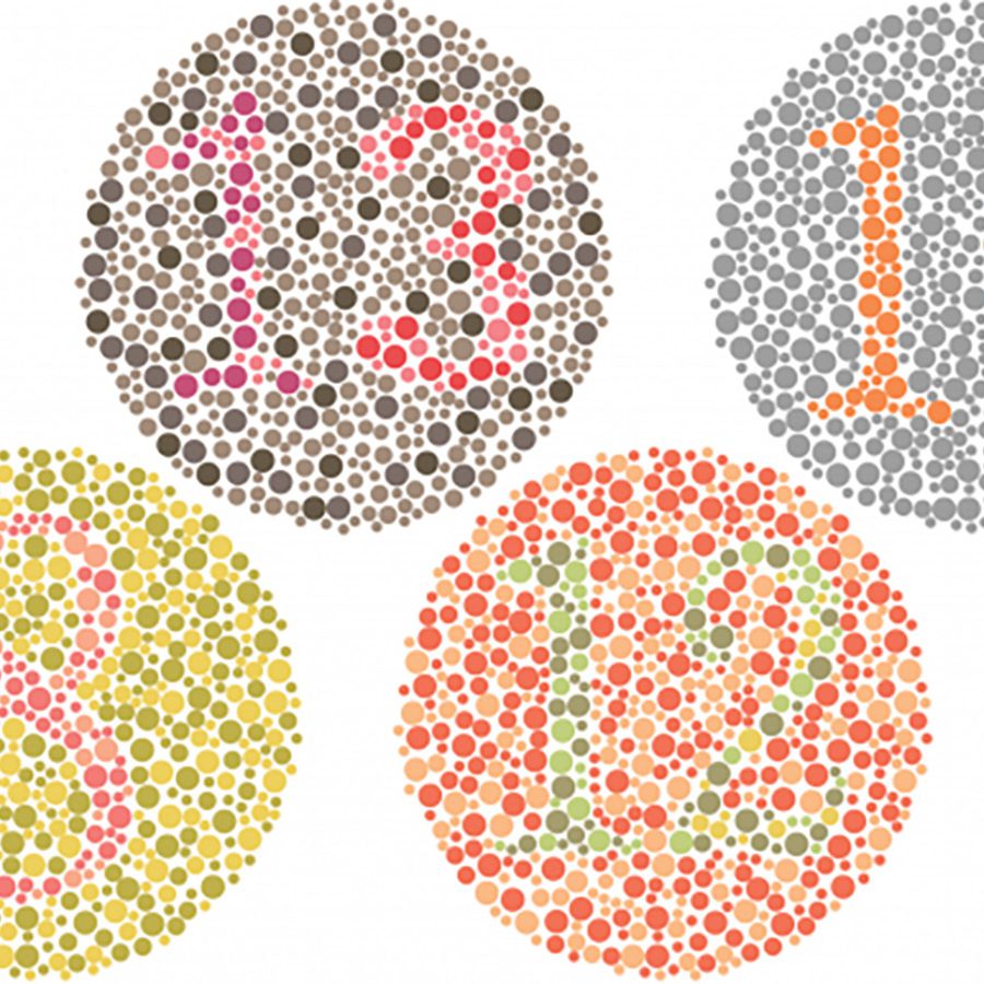 Protanopia Color Blindness Shaders (1.20.4, 1.19.4) - Color Vision Deficiency 2