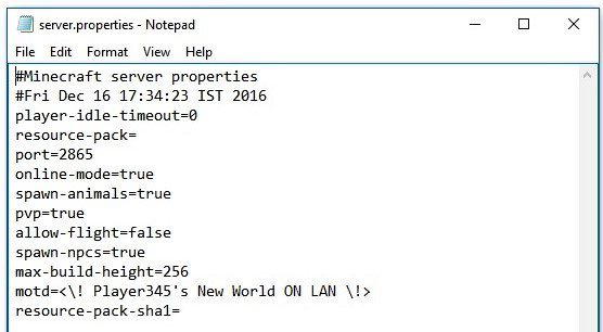 Server.Properties for LAN Mod (1.12.2, 1.7.10) - Generate File for Every Local Game 3