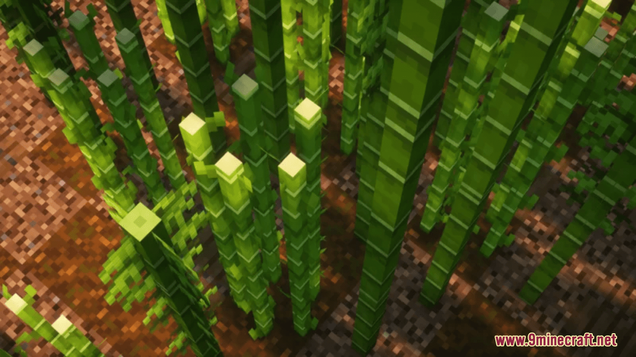 Superior Sugar Cane Resource Pack (1.20.6, 1.20.1) - Texture Pack 14