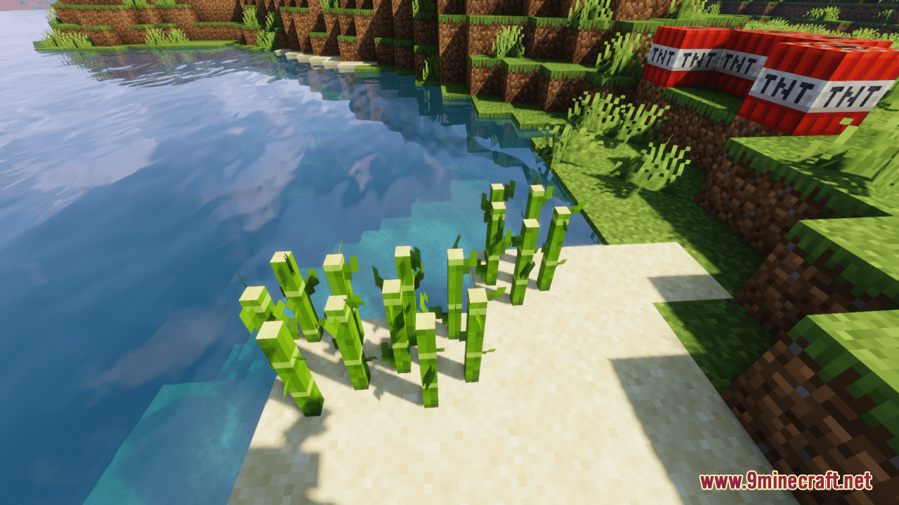 Superior Sugar Cane Resource Pack (1.20.6, 1.20.1) - Texture Pack 3