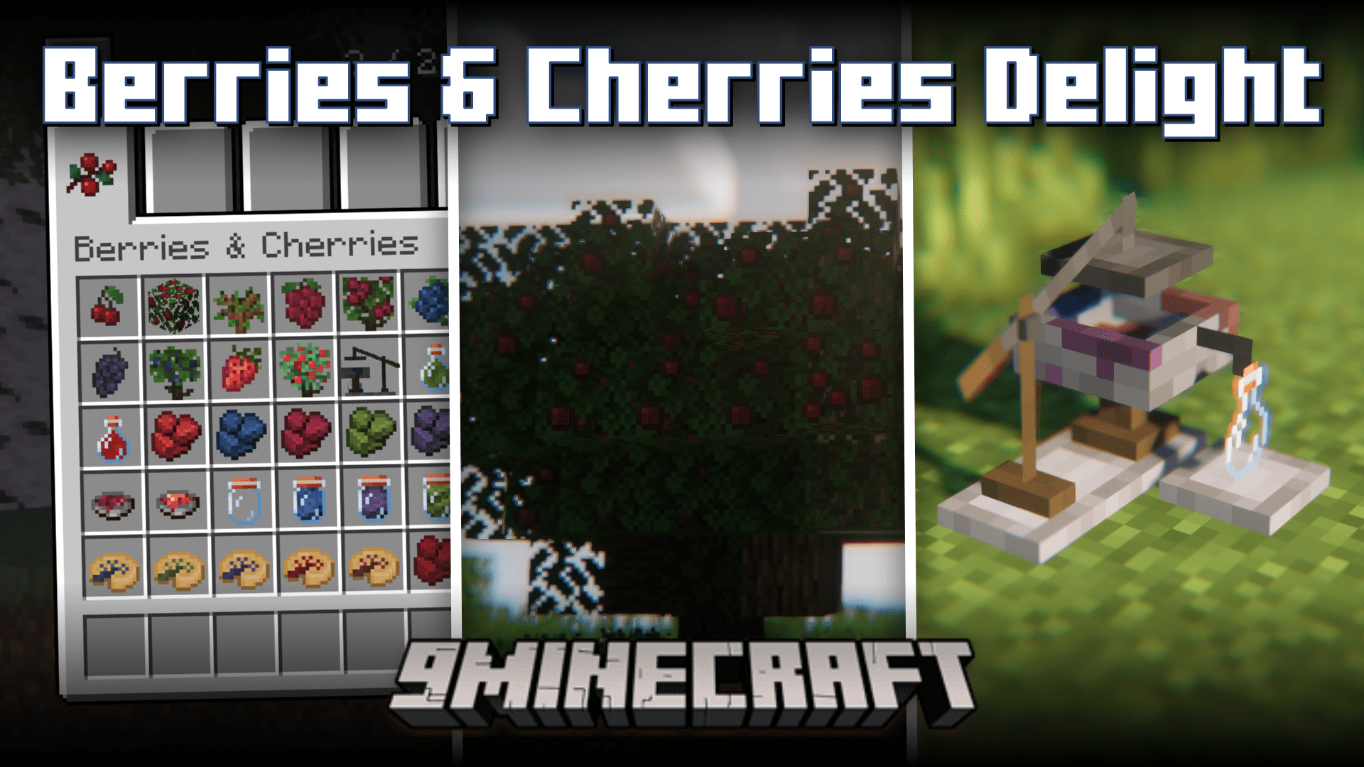 Berries & Cherries Delight Mod (1.20.1, 1.19.2) - Farmer’s Delight Add-On 1