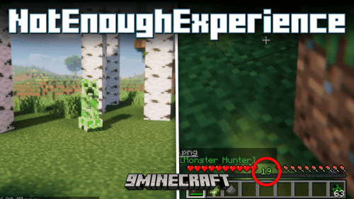 NotEnoughExperience Mod (1.20.1, 1.19.3) – Increase The Amount XP Dropped By Mobs Thumbnail