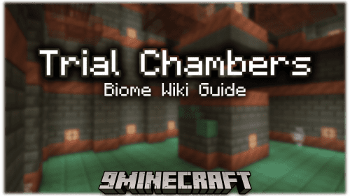 Trial Chambers – Wiki Guide Thumbnail