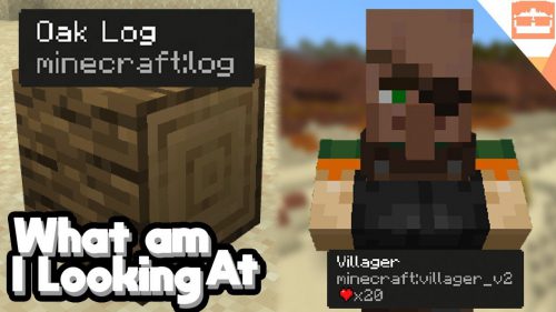 What Am I Looking At? Addon (1.20) – MCPE/Bedrock WAILA Mod Thumbnail