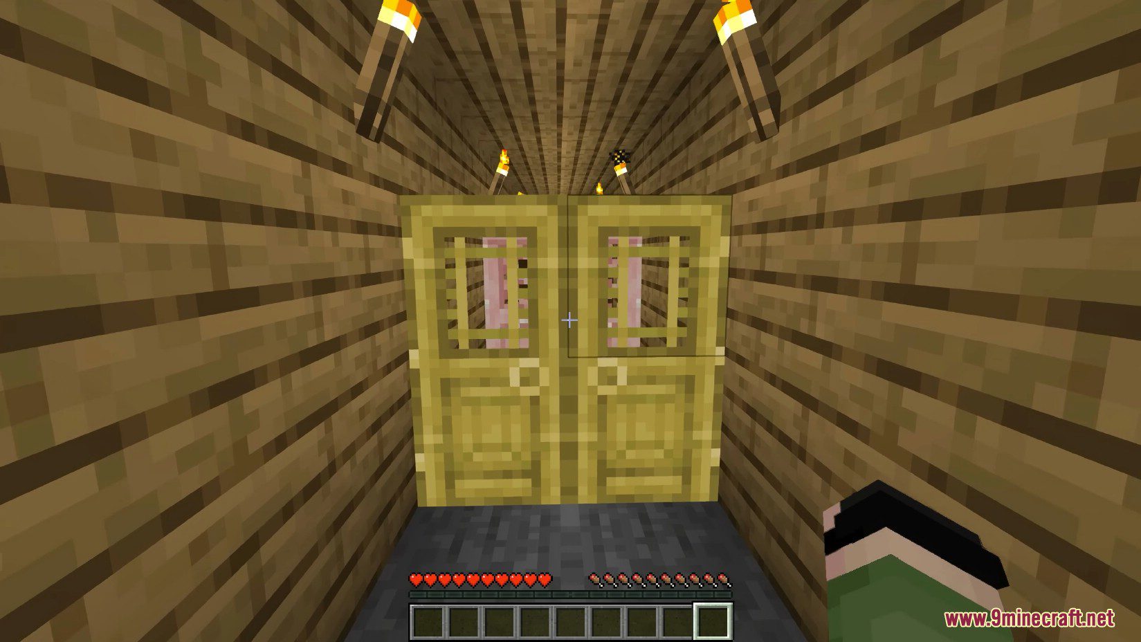 Animated Doors Mod (1.20.4, 1.19.4) - Door Open & Close Animation 4