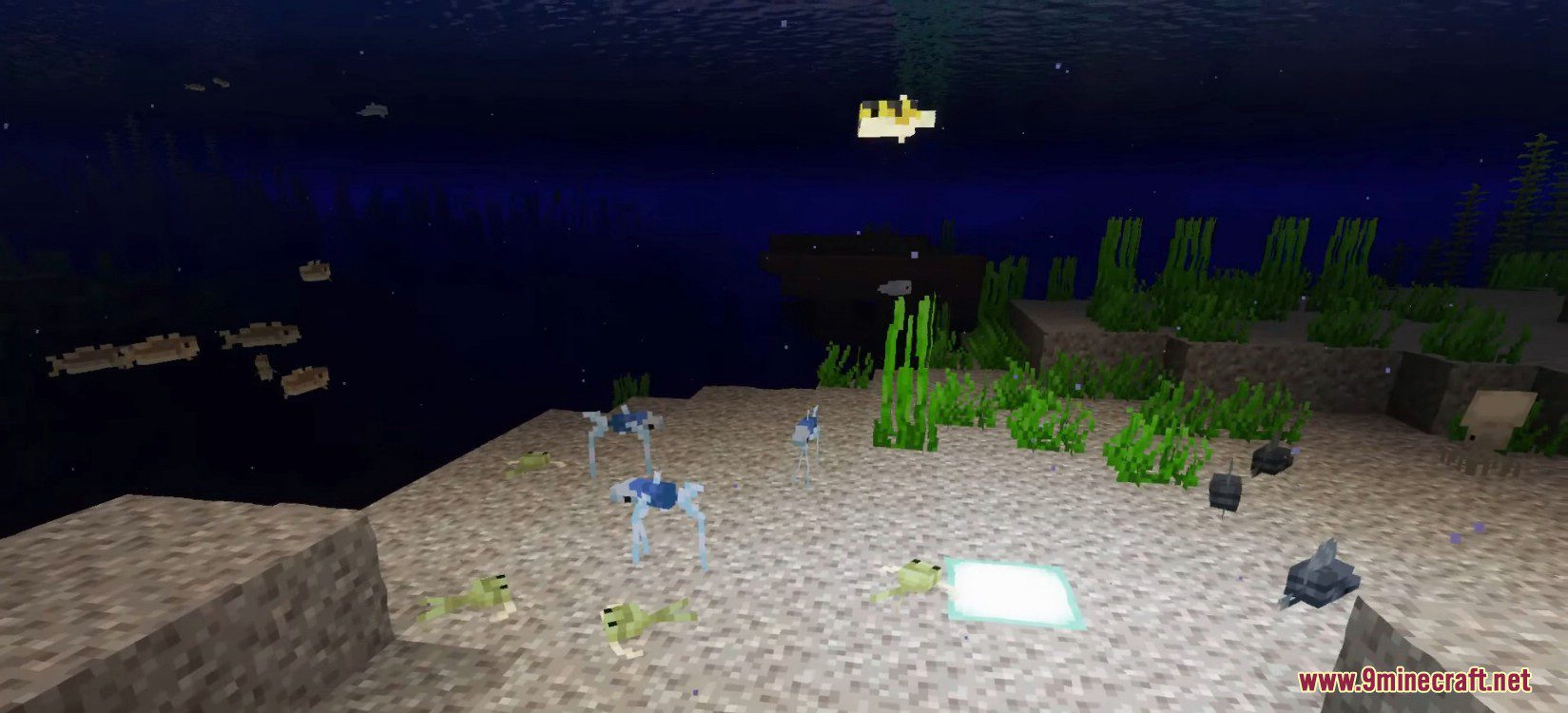 Aquafina Mod (1.16.5) - Sea and Freshwater Mobs 9