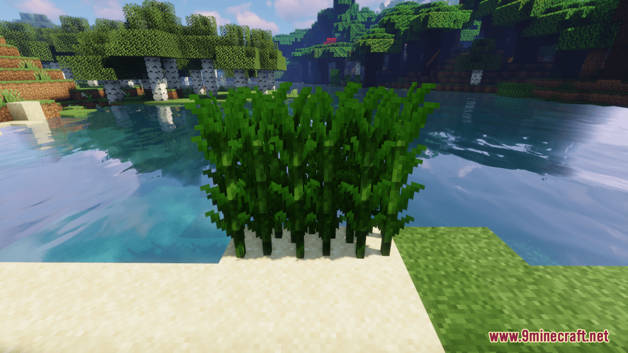 Ray's Better Sugarcane Resource Pack (1.20.4, 1.19.4) - Texture Pack 3