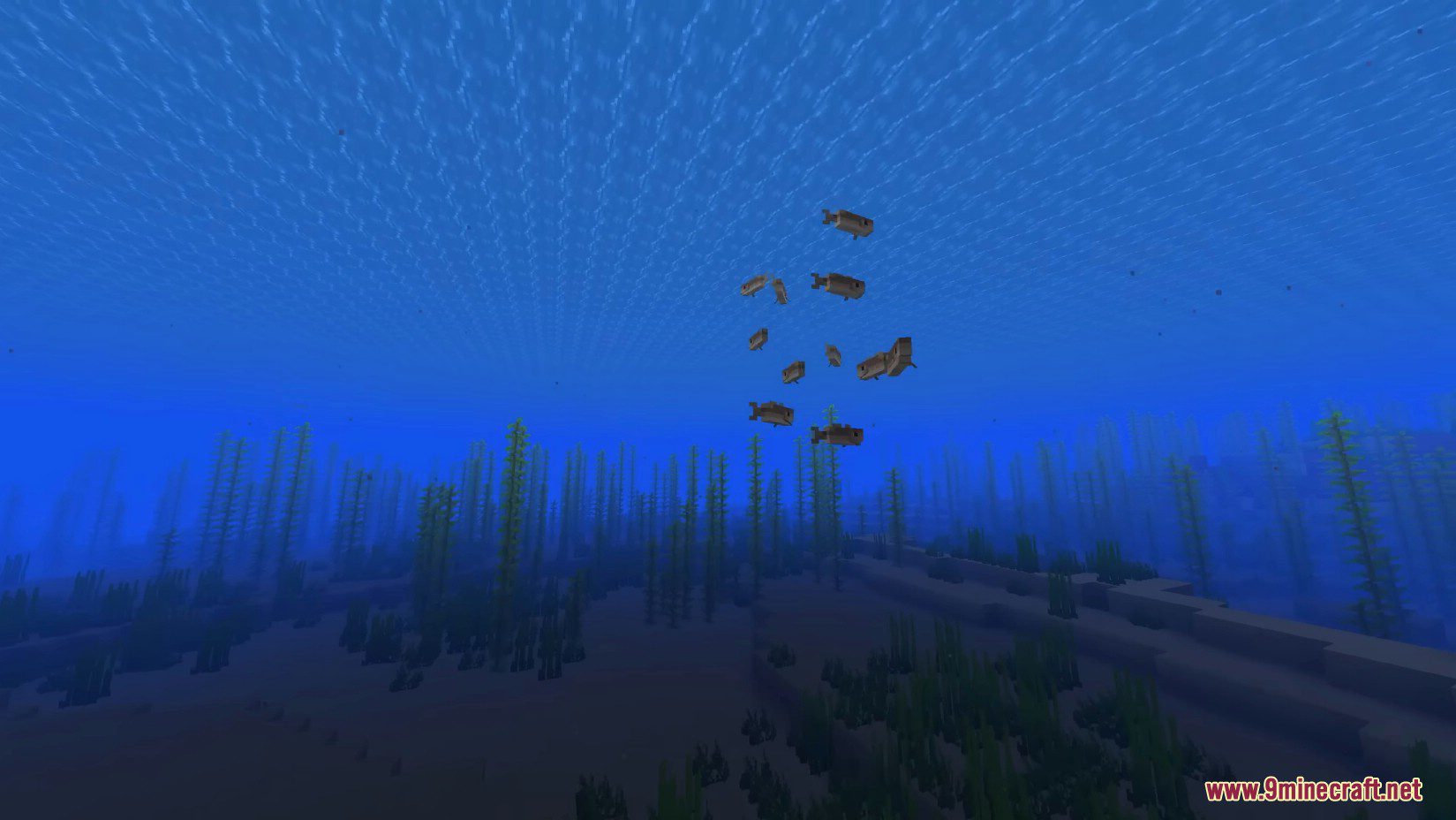 Boids Mod (1.20.6, 1.20.1) - Boids Simulation for Flocking Fish 12