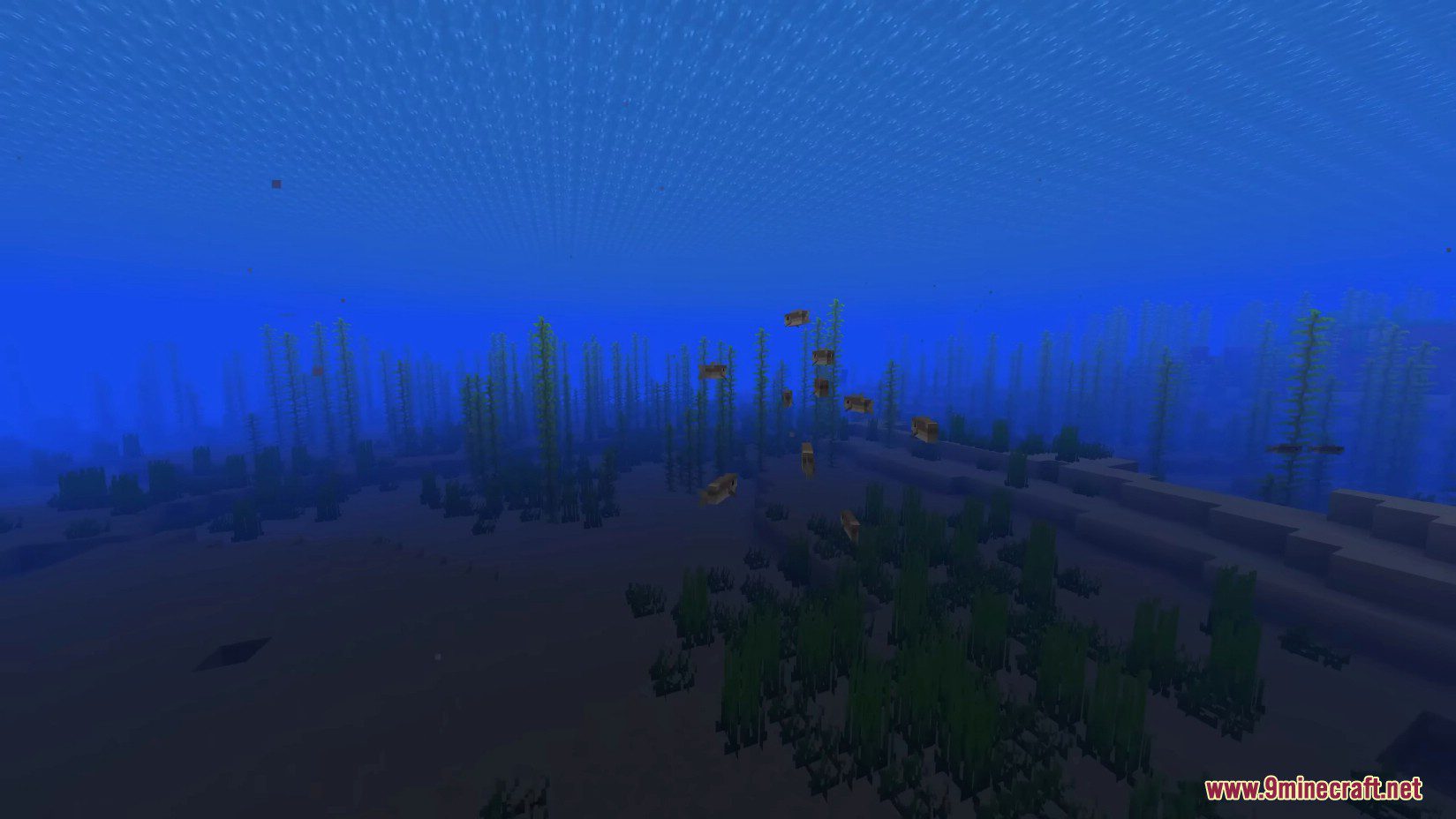 Boids Mod (1.20.6, 1.20.1) - Boids Simulation for Flocking Fish 8