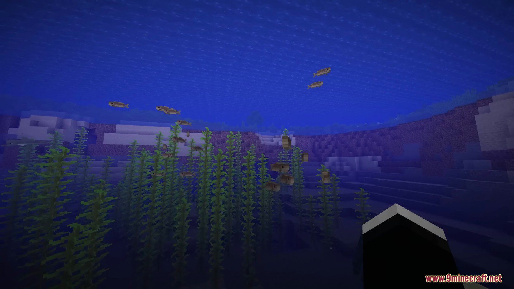 Boids Mod (1.20.6, 1.20.1) - Boids Simulation for Flocking Fish 9