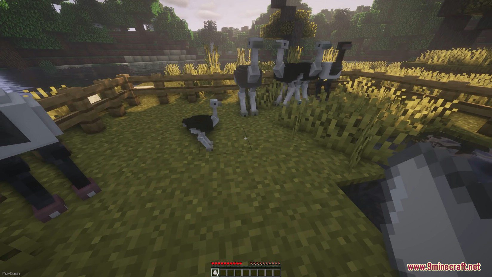 Colds Ostriches Mod (1.16.5) - Large Flightless Bird 5