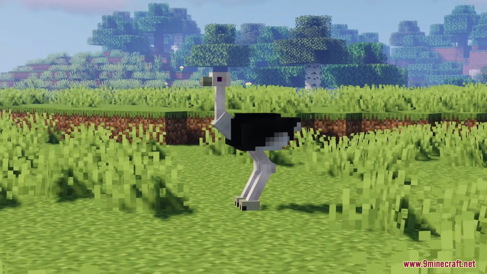 Colds Ostriches Mod (1.16.5) - Large Flightless Bird 10