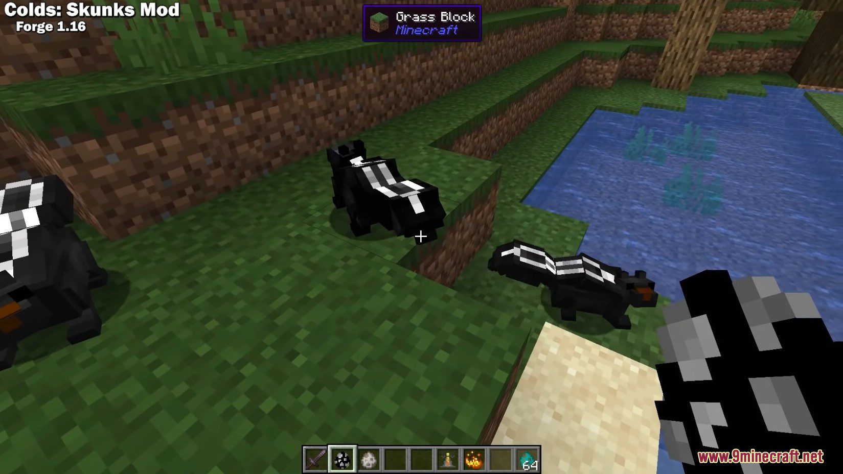 Colds Skunks Mod (1.16.5) - Small Mammals, Burrowing Animals 7