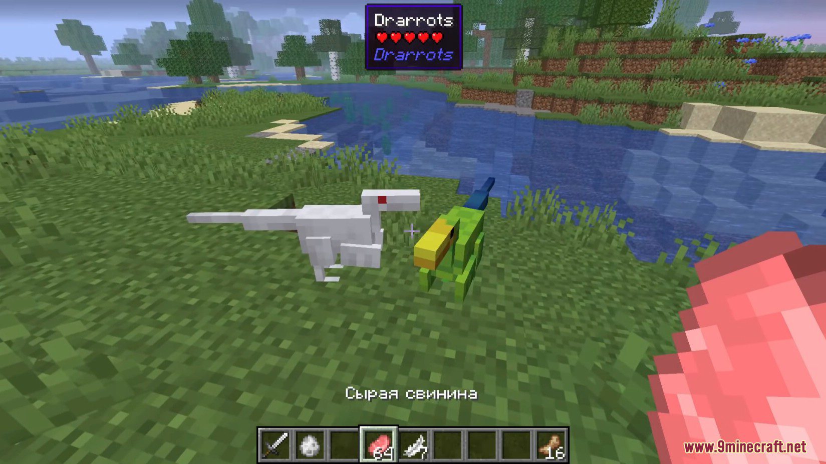 Drarrots Mod (1.18.2, 1.16.5) - Blend of Small Bird, Dragon and Dinosaur 9