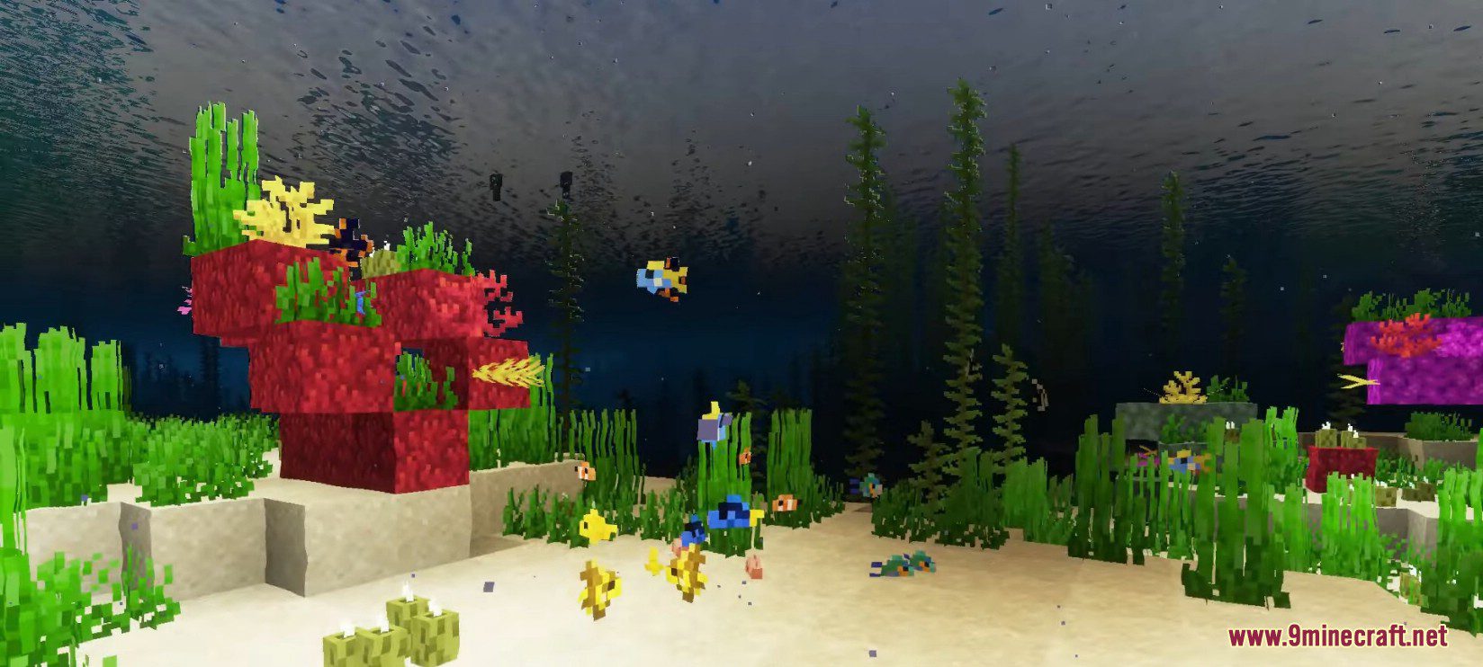 Endless Ocean Adventures Mod (1.16.5) - New Exotic Fish Types 2