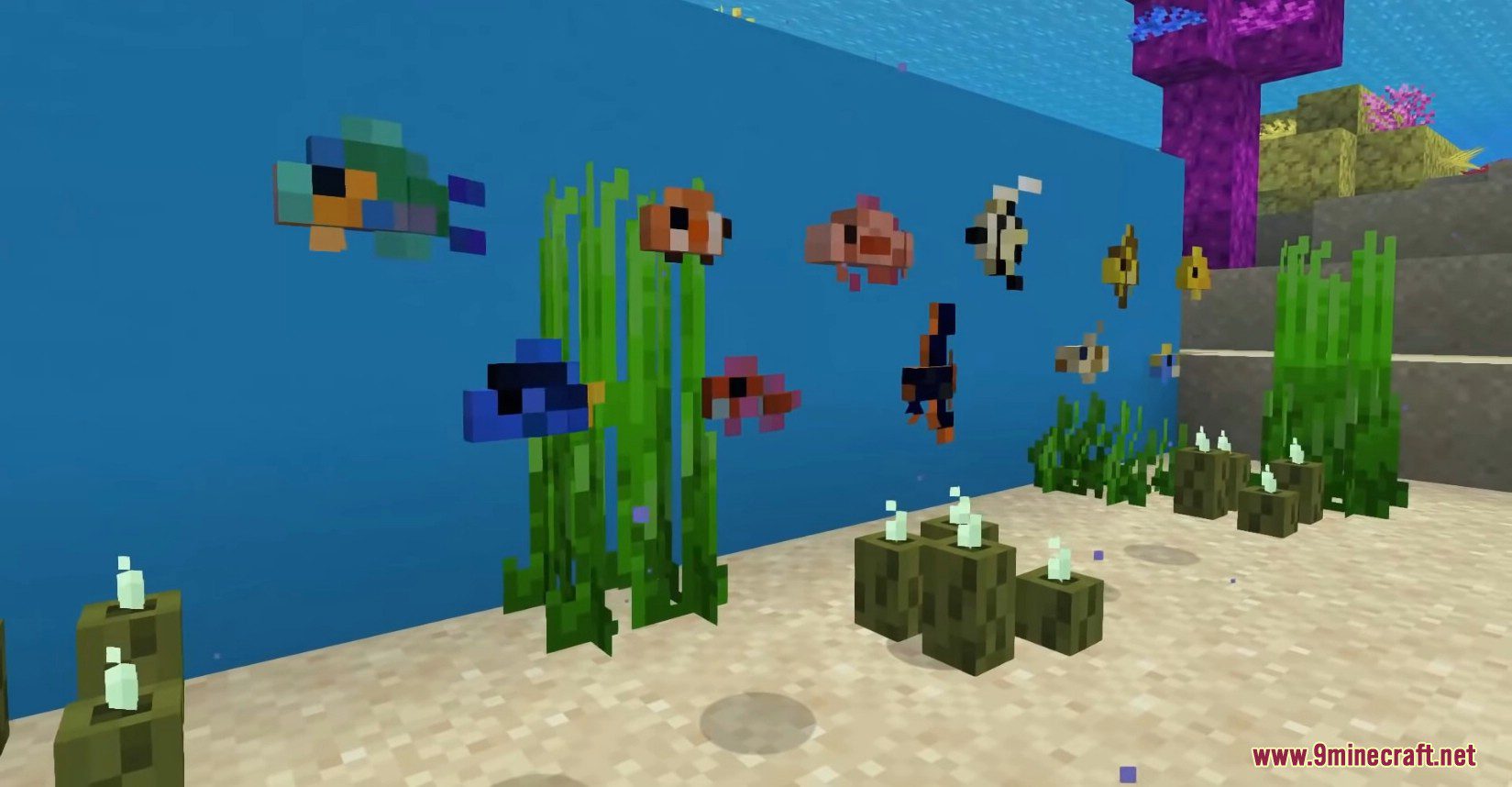 Endless Ocean Adventures Mod (1.16.5) - New Exotic Fish Types 5