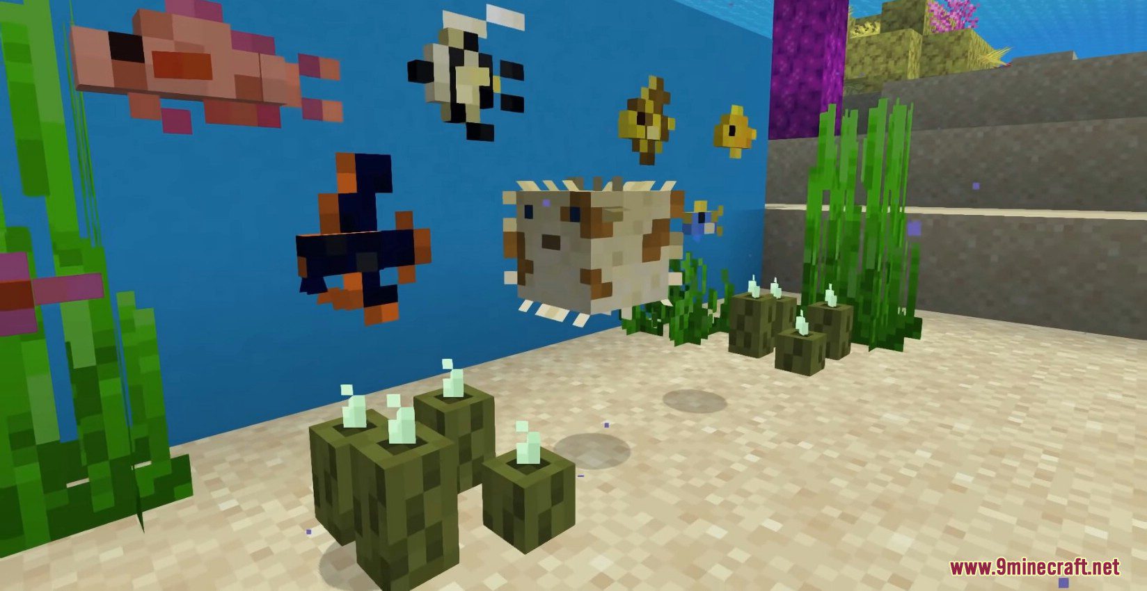 Endless Ocean Adventures Mod (1.16.5) - New Exotic Fish Types 6