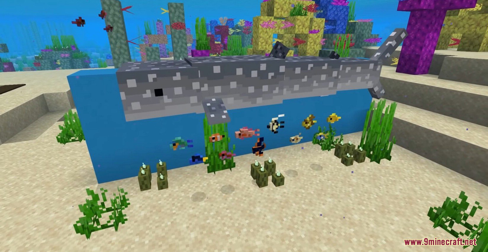 Endless Ocean Adventures Mod (1.16.5) - New Exotic Fish Types 7