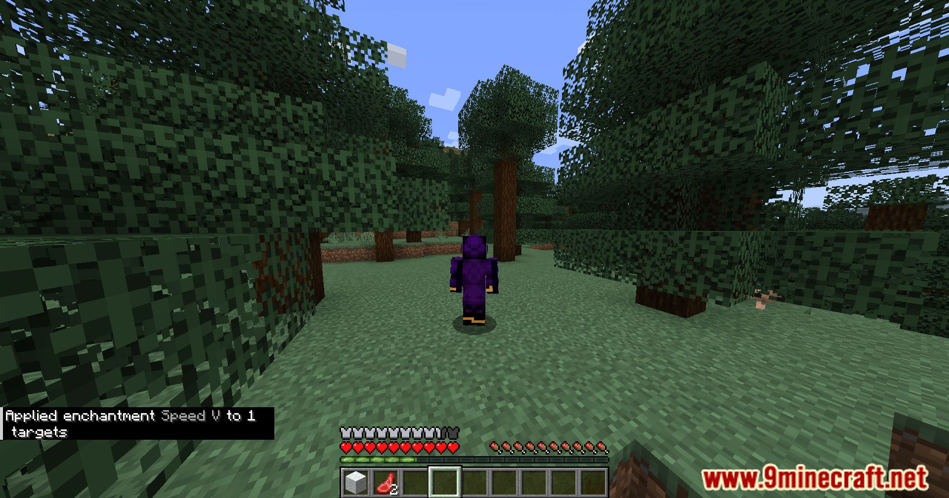 Entity Enchantment Mod (1.20.4, 1.19.4) - Prepare For Enchanted Mobs 8