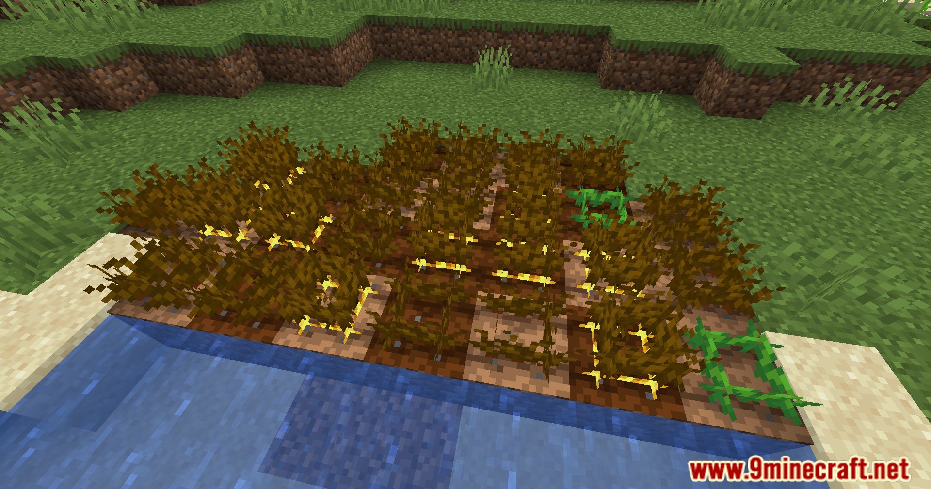 Golden Crops Mod (1.20.6, 1.20.1) - Harvest Gold, Cultivate Rare Crops 16