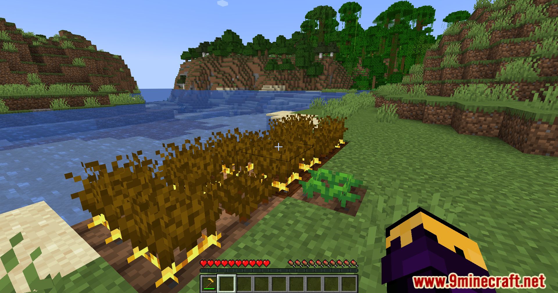 Golden Crops Mod (1.20.6, 1.20.1) - Harvest Gold, Cultivate Rare Crops 9