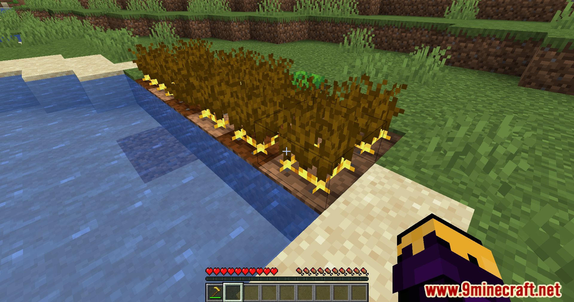 Golden Crops Mod (1.20.6, 1.20.1) - Harvest Gold, Cultivate Rare Crops 10