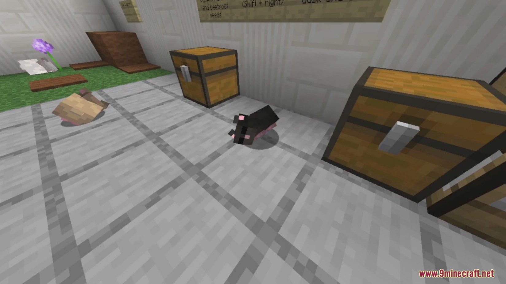 Hamsters Mod (1.20.1, 1.19.2) - Small, Fluffy and Adorable Hamsters 8