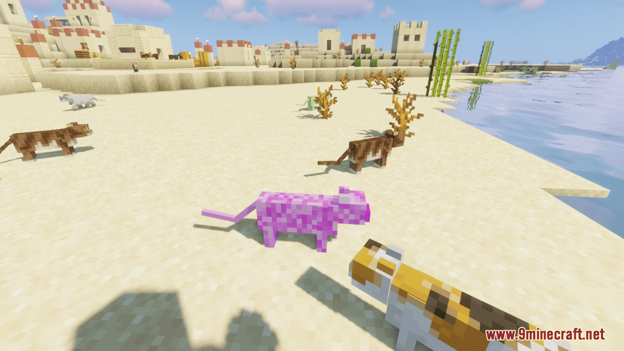 Kawaii World Cats Resource Pack (1.20.4, 1.19.4) - Texture Pack 5