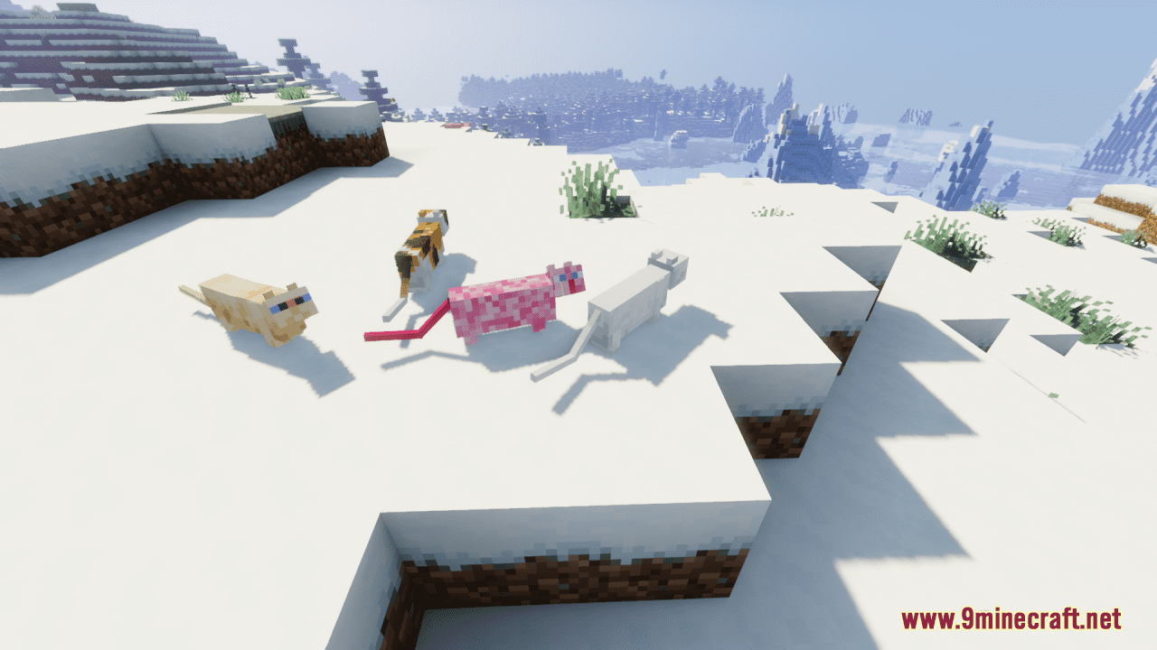 Kawaii World Cats Resource Pack (1.20.4, 1.19.4) - Texture Pack 6