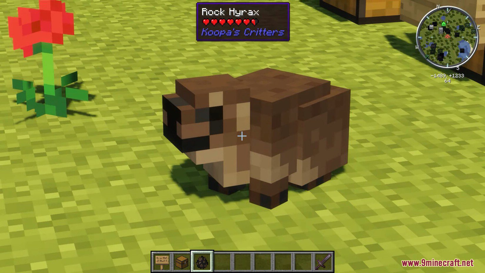 Koopa's Critters Mod (1.16.5, 1.12.2) - 30+ New Animals 14