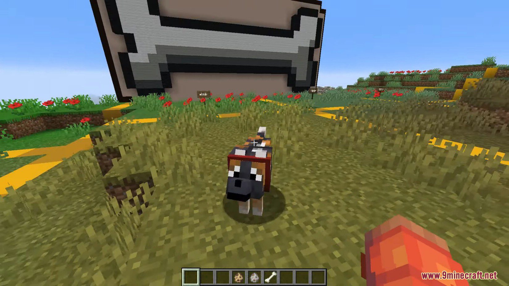 Minecraft 1.21, 1.20.5 Snapshot 24w10a - New Wolves, New Dogs 3